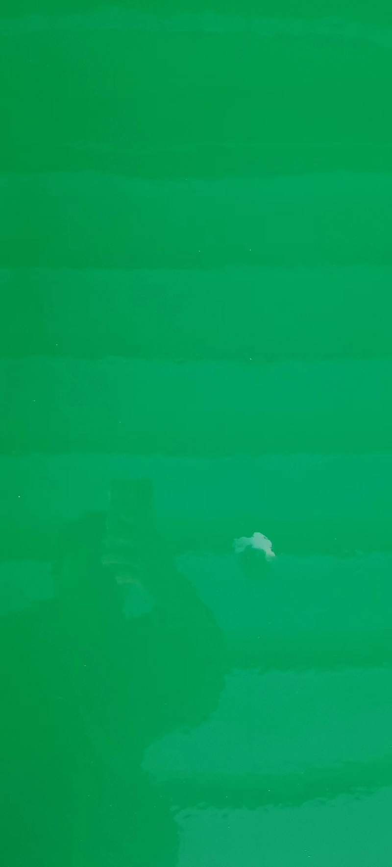 ۰ĥhƺ